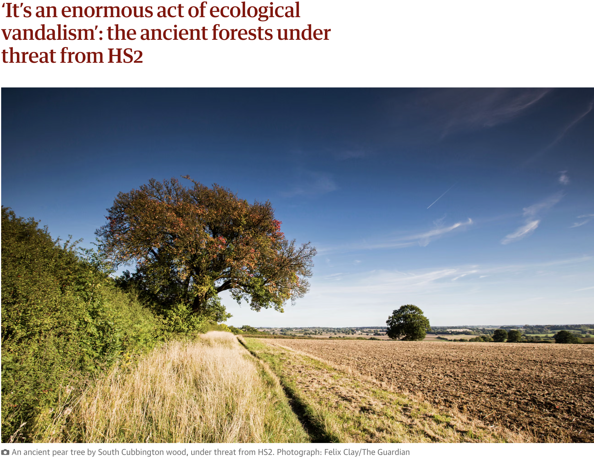 Ancient woodland threatened by HS2